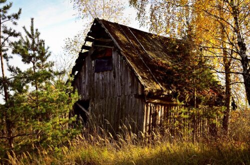 Sådan giver spåner dig en lettere hverdag i stalden