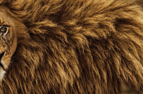 Løvefodens evolution: Fra små kattelignende poter til kongelig styrke